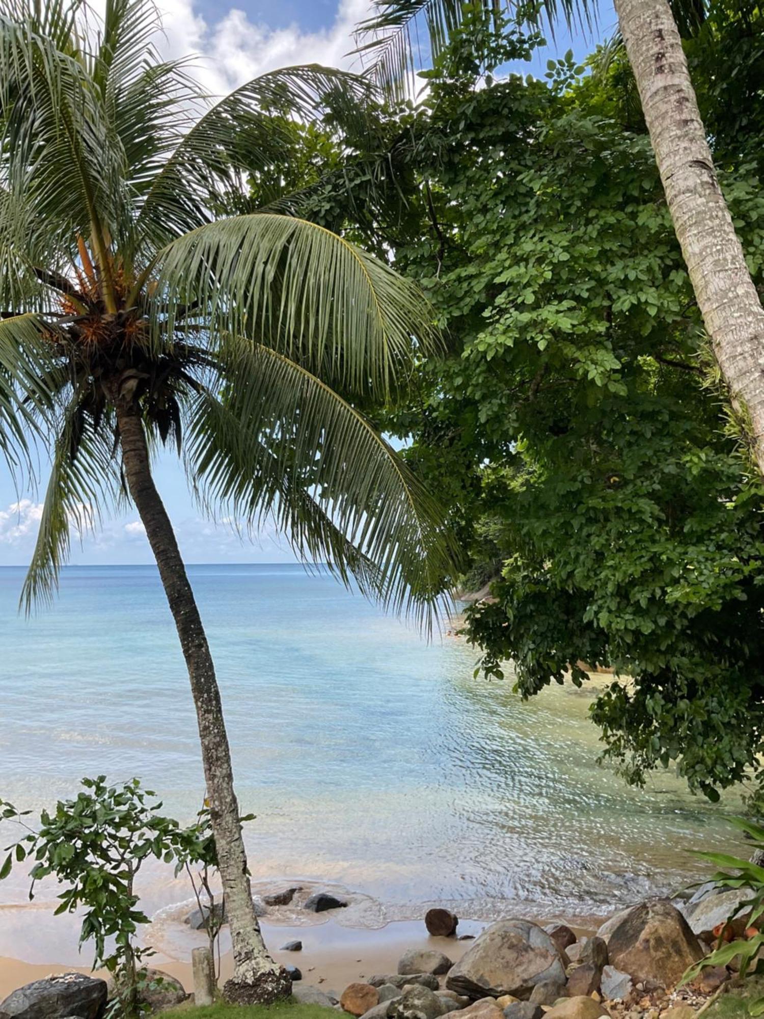 Abc Chalet Tioman Kampong Ayer Batang Ngoại thất bức ảnh