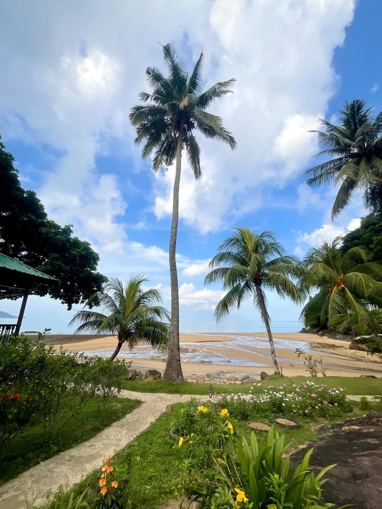 Abc Chalet Tioman Kampong Ayer Batang Ngoại thất bức ảnh