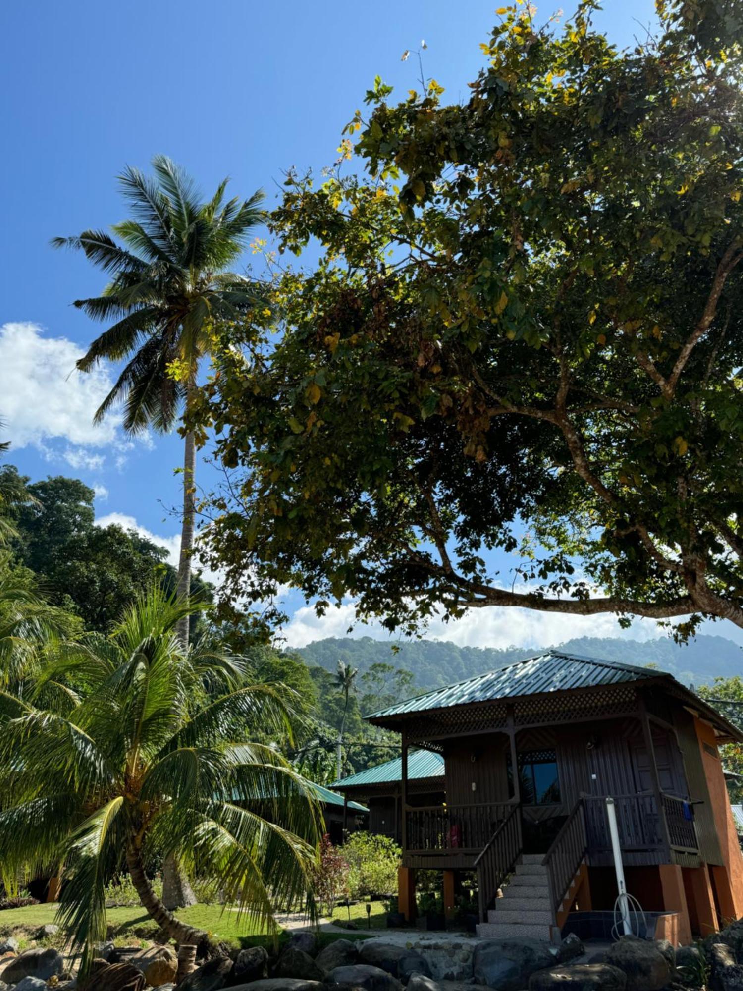 Abc Chalet Tioman Kampong Ayer Batang Ngoại thất bức ảnh